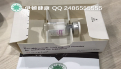 ��ӡ���ս𵥿���ע������